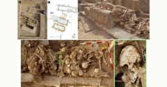 6200年前の「10代の少女の遺骨」を発見！頭がコーン型に整形の画像 1/3