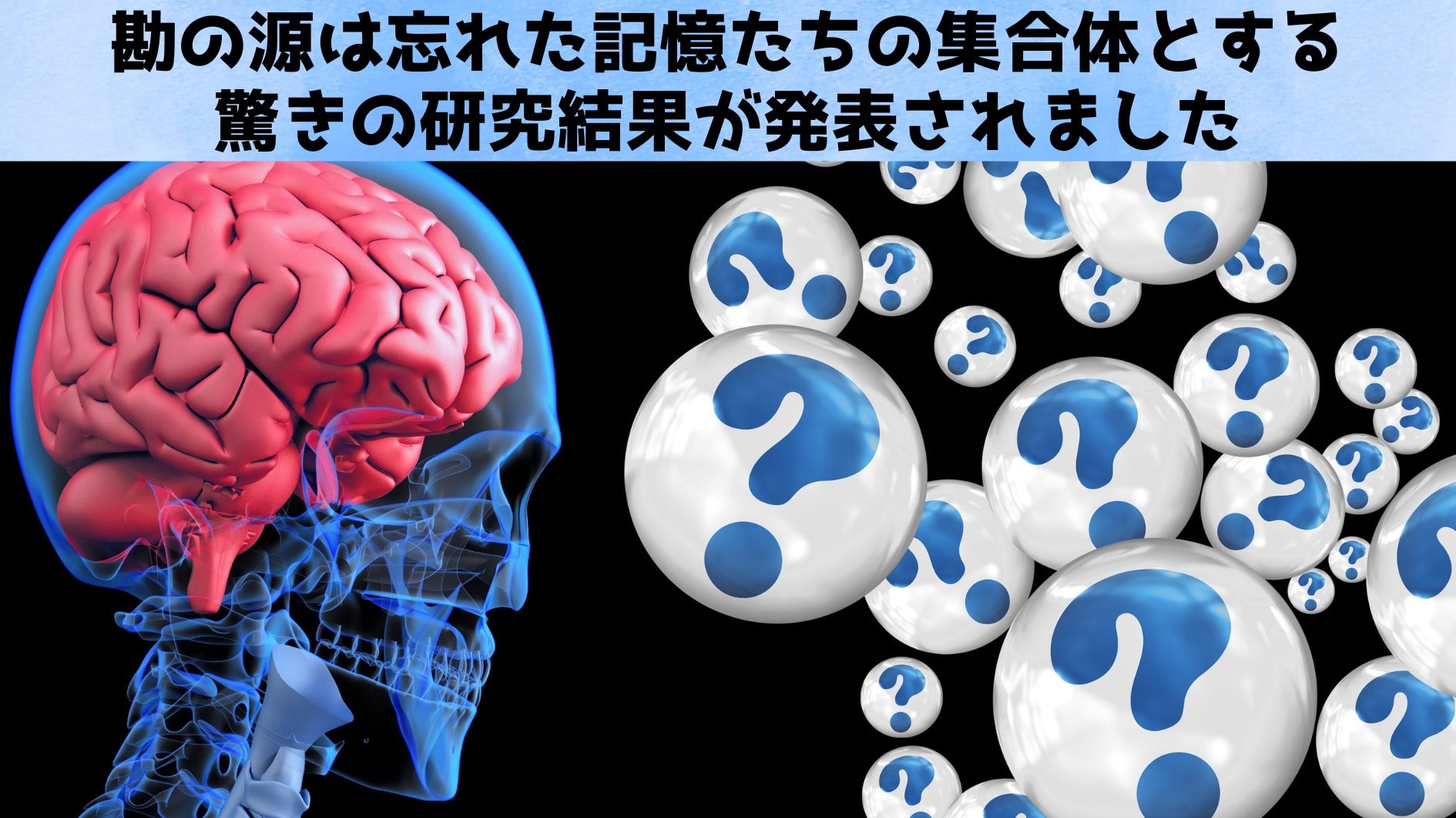 忘れられた記憶はあなたの選択に「勘」という形で影響を与え続ける