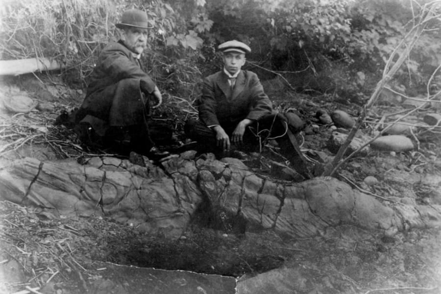 1916年に発見された化石、「ジュラ紀の新種魚竜」と判明!の画像 2/3