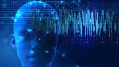 なぜ人は寝ると良いアイデアが浮かぶのか？
