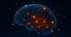 自閉症とADHDの「脳接続の違い」を発見！の画像 1/3