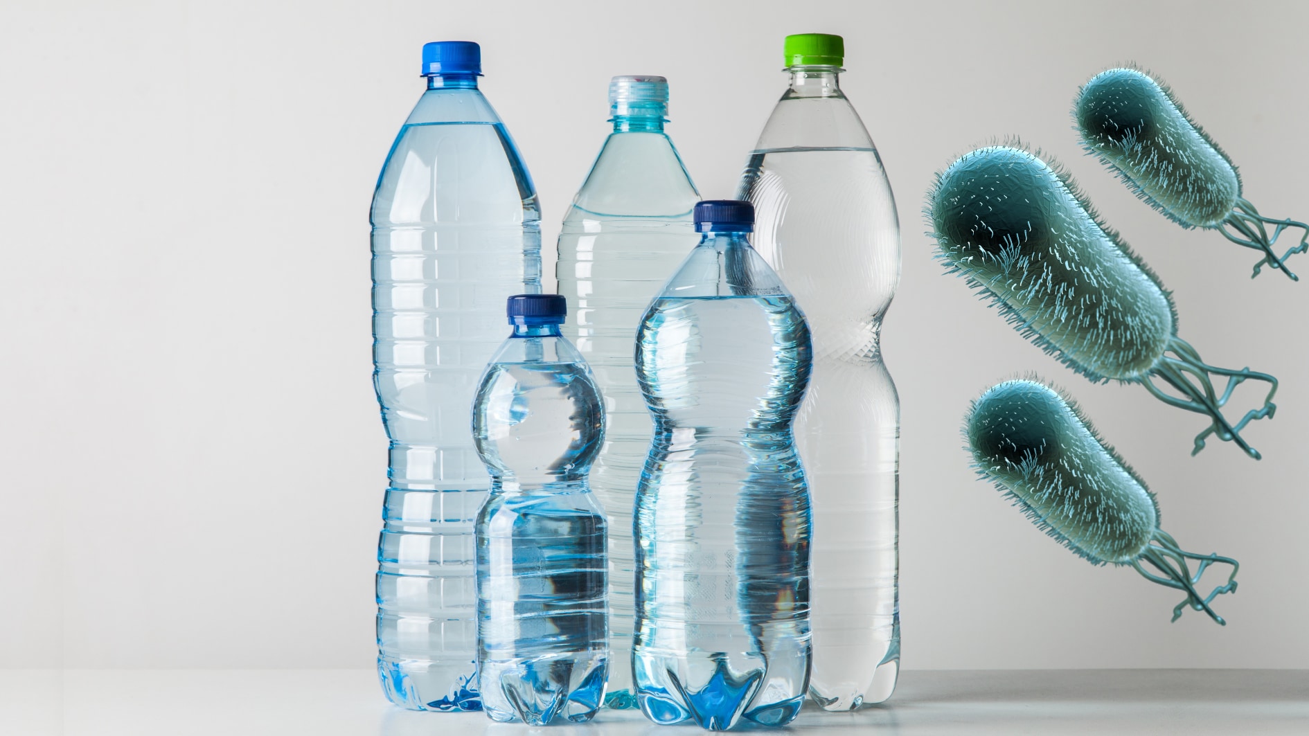 ペットボトルを鎮痛剤に変える遺伝子組み換え細菌を作成することに成功の画像 4/4