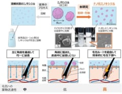 ナノ化「ミノキシジル」で効率的に浸透！発毛効果を早める！の画像 3/5