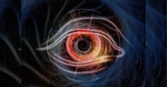 生物界で一番「目がいい」のは？タイプ別に1位を発表の画像 1/4