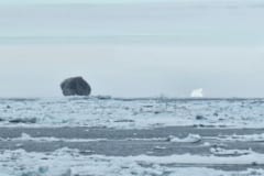 カナダで目撃された「漆黒の氷山」が話題に！なぜ黒色に？の画像 2/3