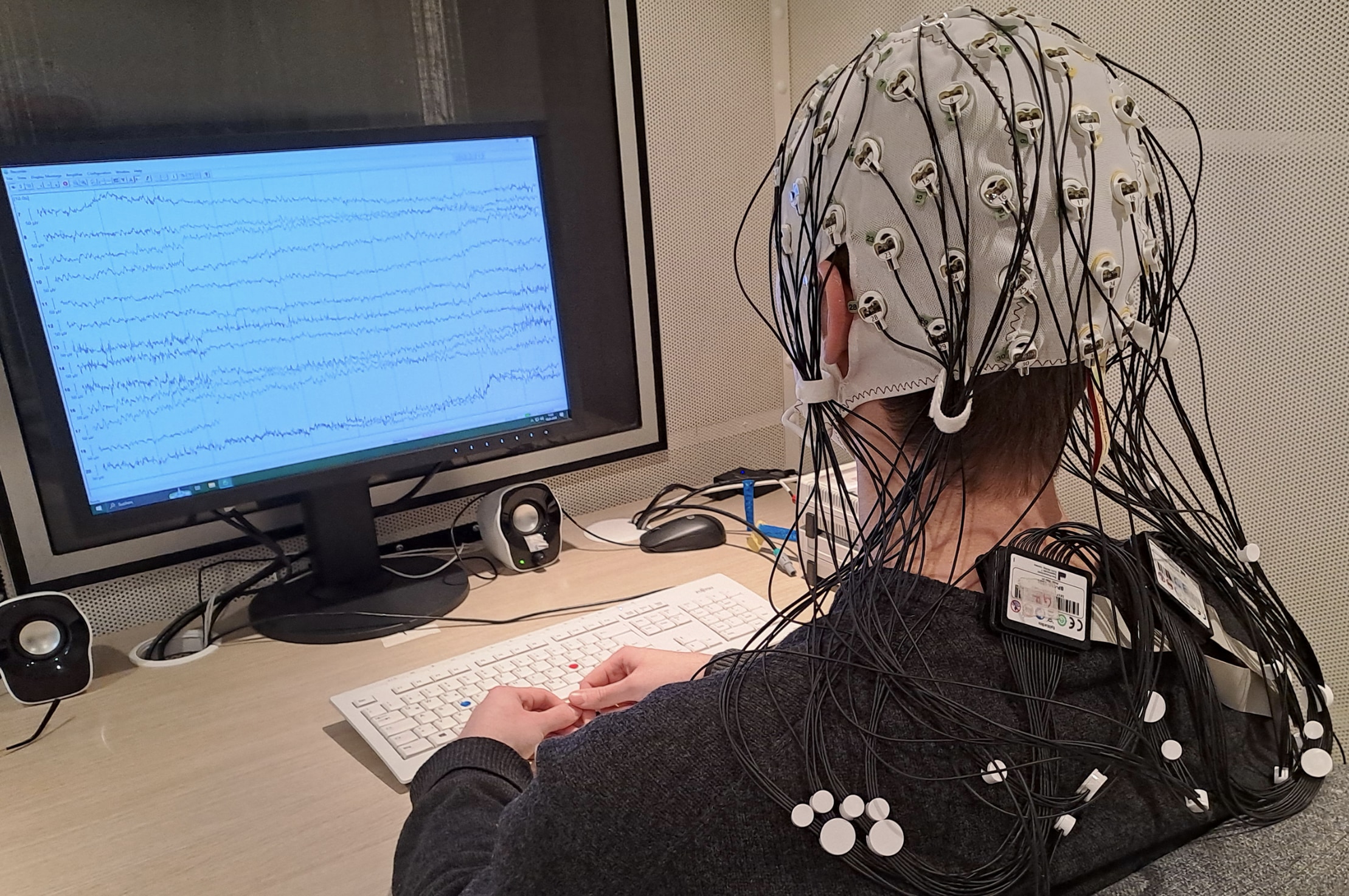 集中力が高くて賢い人ほど、脳が「ある同調リズム」を持っていたの画像 3/3