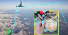 【8.6km先でポップコーンを作る】DARPAがワイヤレス電力伝送の新記録を樹立の画像 1/5