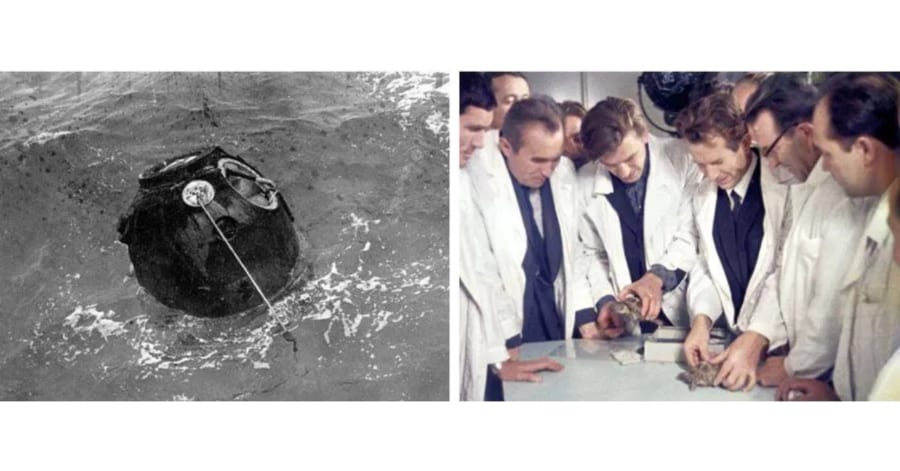 史上初めて月の周回に成功したのは人類ではなかった！ - ナゾロジー