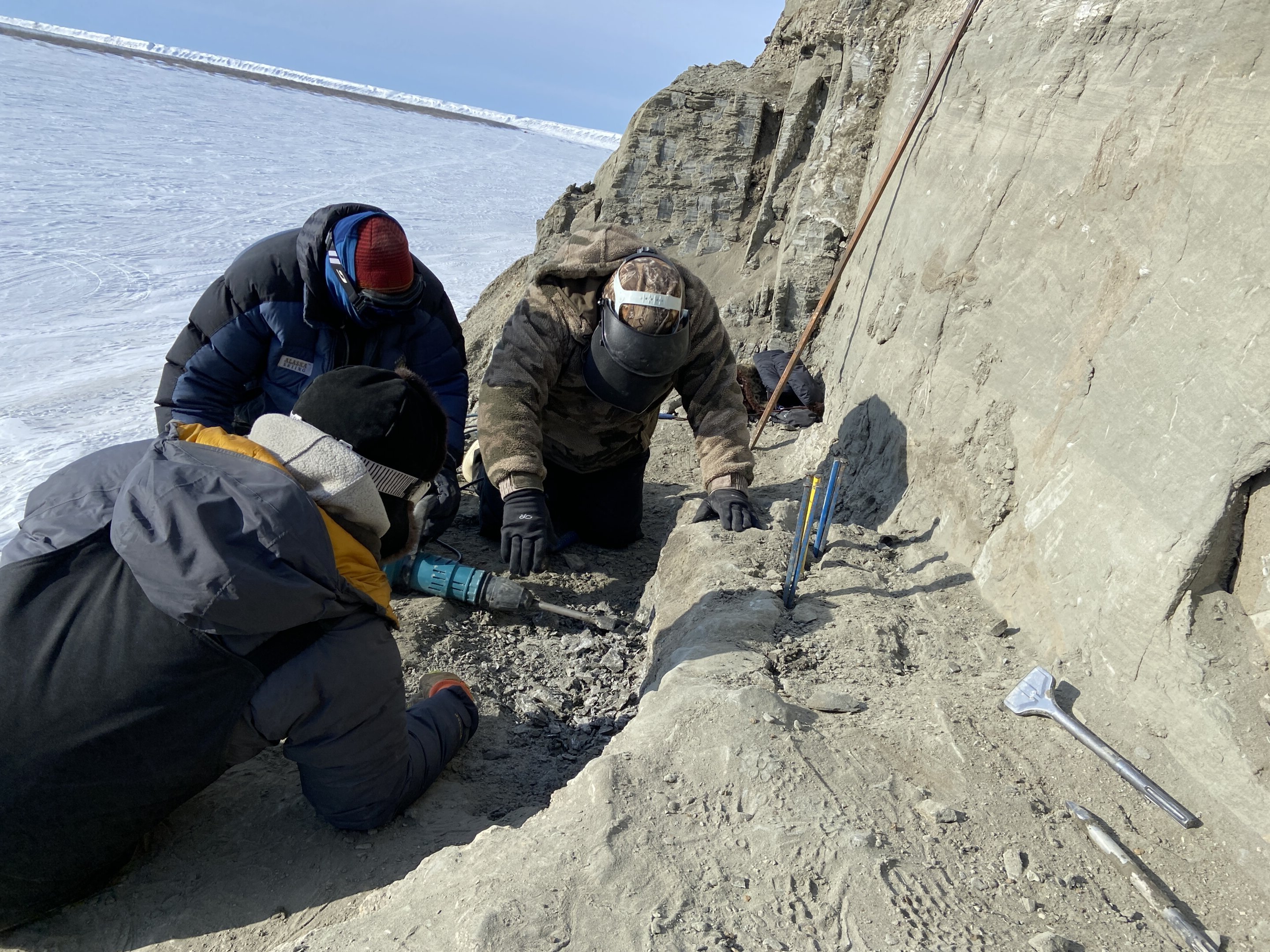 7300万年前の北極で鳥が繁栄していた証拠を発見!の画像 2/4