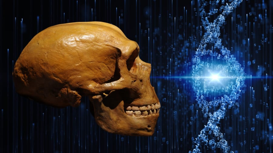 私たちのDNAに隠れた「ネアンデルタール遺伝子」の謎を解く