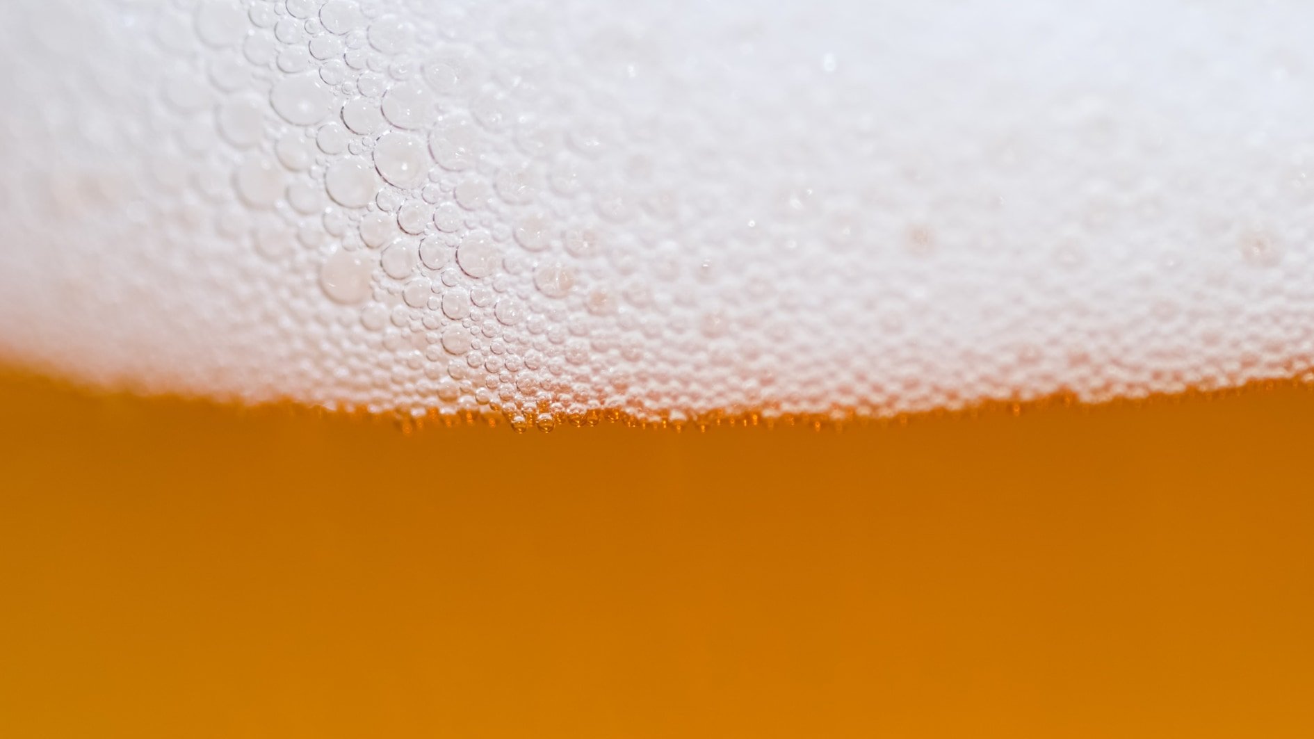 「日本人はお酒に弱い」を超える見識を目指せ