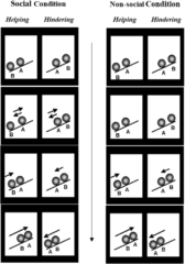 生後5日の赤ちゃんでも「社会的に協力しよう」とする存在は見抜けるの画像 2/3
