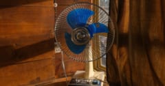「扇風機が体温を上昇させる」こともある【それはどんな時か？】の画像 1/3