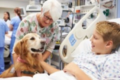 ”ある犬の動画”を5分見るだけでストレスが軽減するの画像 2/3