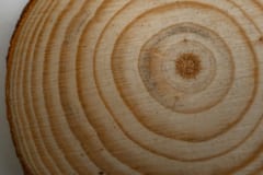 人間の老化は50歳前後から急激に加速するの画像 2/3