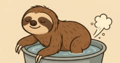 ナマケモノはオナラを「するorしない」？ついにその答えが撮影されるの画像 1/2