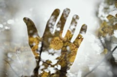 ナルシシズム傾向が強い人ほど「過度な妄想中毒」に陥りやすいと判明の画像 3/3