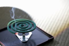 「蚊」をレーザーで撃ち落とす小型の迎撃アイテムが登場の画像 2/6