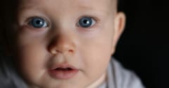 生後5日の赤ちゃんでも「社会的に協力しよう」とする存在は見抜けるの画像 1/3