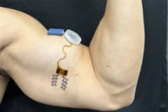 猛暑日に命を救う!?水分補給の必要を知らせるウェアラブルセンサーを開発の画像 2/3