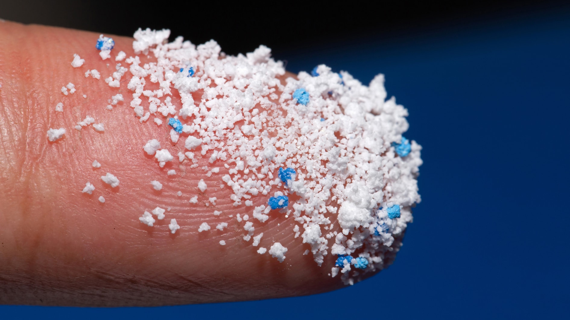 プラスチックを『好むようになる』動物の不気味な現象