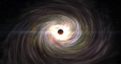 ブラックホールに捕食されても生還した「奇跡の星」を確認の画像 3/3