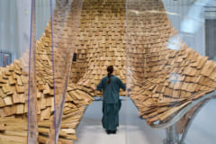 【木のように生きる建物】CO2を吸収・貯蔵する「建築材料」を開発の画像 4/4