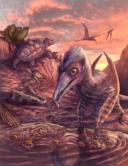 北米最古の翼竜を新発見、命名「灰の翼をもつ夜明けの女神」の画像 2/3