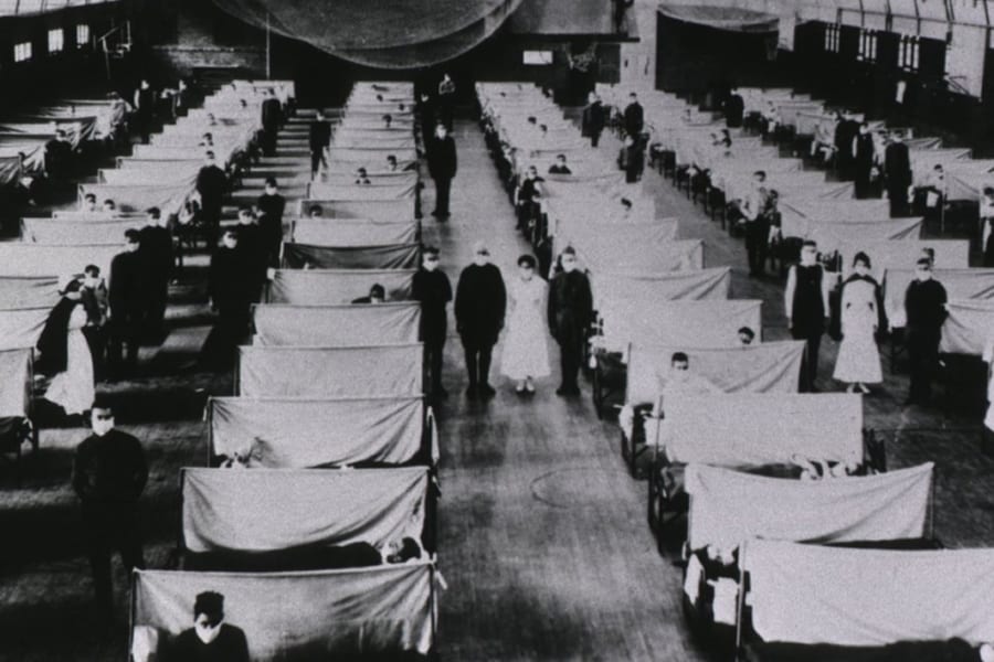 1918年の「スペイン風邪」ウイルスのゲノムを再構築することに成功