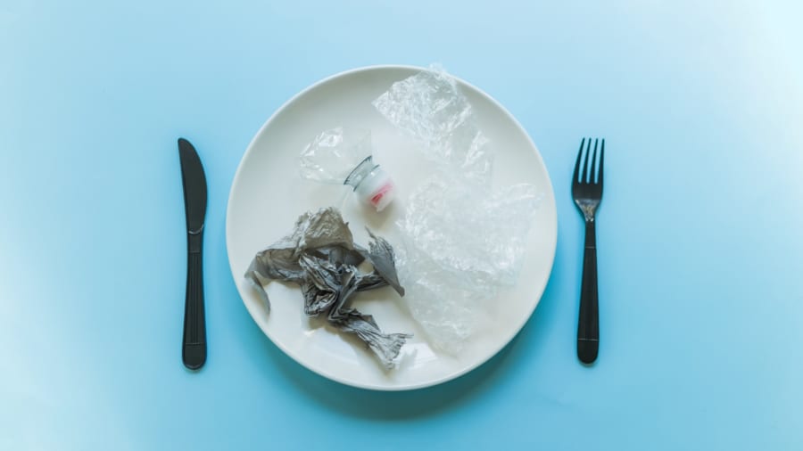 プラスチックを“美味しい”と感じる動物――人間社会への警鐘
