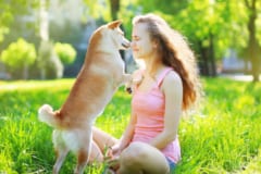 【時間か質か】豪ACTは「飼い主は愛犬と1日3時間過ごす義務」の草案を発表の画像 3/3