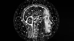 なぜ薬物に手を出すのか？ 従来の常識を覆す新視点とは