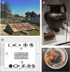 謎に包まれていた2500年前の「神への捧げ物」、ついに正体判明の画像 2/3