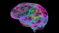 数学が苦手な理由は脳内の『ネットワーク』にあった