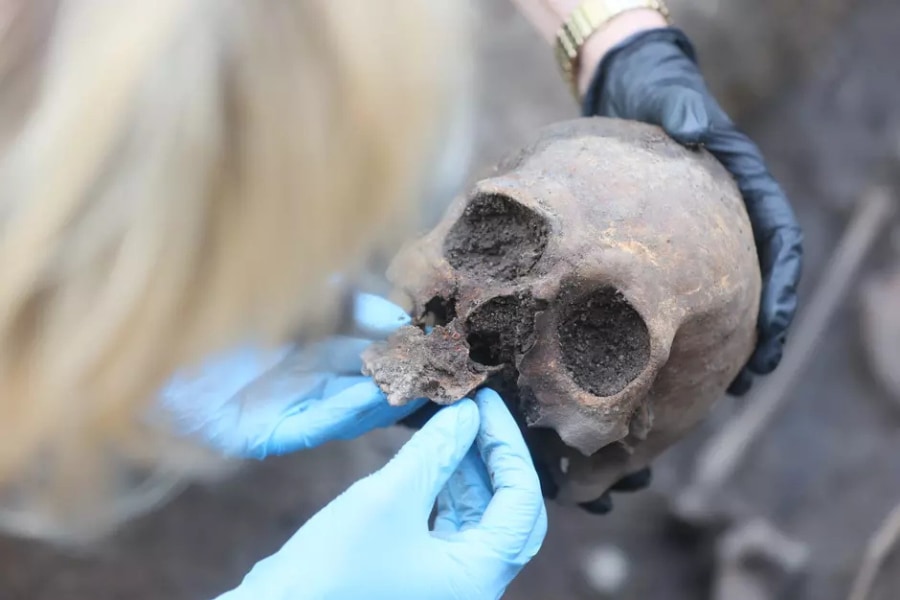 アイスクリーム屋の地下から「中世騎士の人骨」が見つかるの画像 3/3