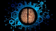 ADHD治療薬が「脳のシワ」を増やす――ただし症状とは相関せず