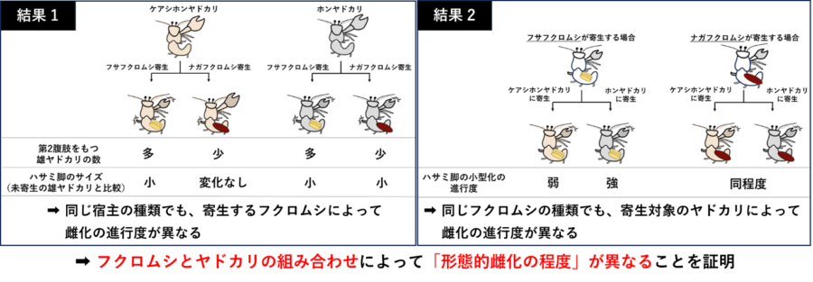 寄生虫が宿主を操るメカニズム――ホルモンと神経の謎を追う