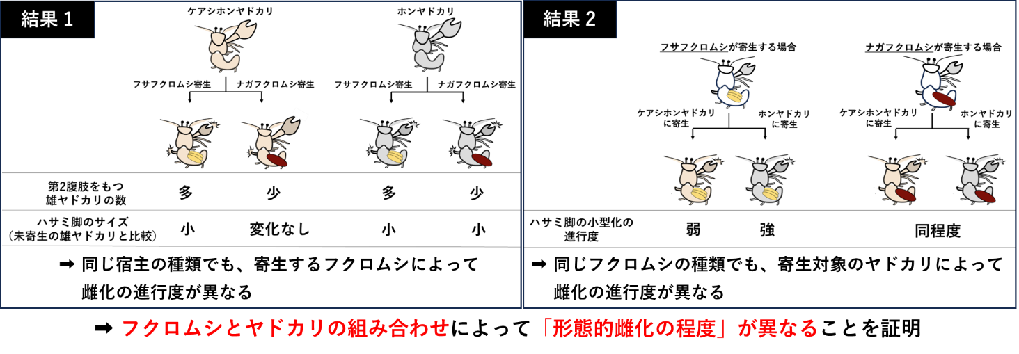寄生虫が宿主を操るメカニズム――ホルモンと神経の謎を追う