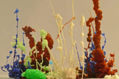 触れた生物を凍らせて海中をゆっくり伸びる自然現象「死の氷柱：ブライニクル」の画像 6/6