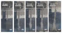 触れた生物を凍らせて海中をゆっくり伸びる自然現象「死の氷柱：ブライニクル」の画像 5/6