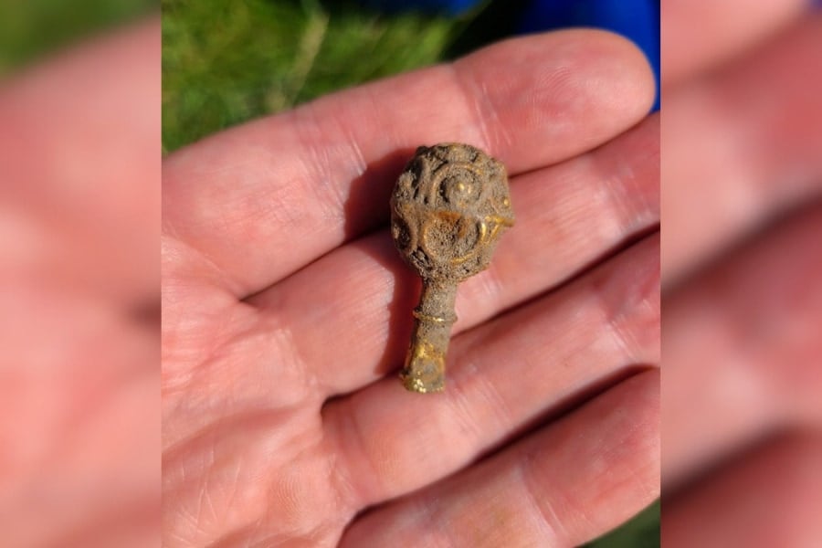 人生初の発掘調査で「9世紀の金のお宝」をいきなり発見、イギリス在住学生の画像 3/3
