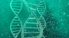 【まとめ】人工的に設計された生命「Syn57」は世界をどう変えるか？