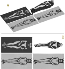 トリノの聖骸布は本当に「イエス・キリスト」を包んでいたのか、科学的に検証の画像 3/3
