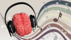 音楽を聴いても何も感じない人がいるのはなぜか