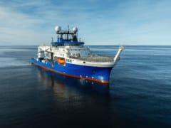 新たな深海探査で「新種候補40種」を発見、アルゼンチン沖の画像 2/6