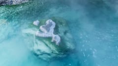 見慣れた温泉が“生態系の博物館”に