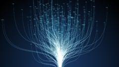【まとめ】言葉の進化を支える“省エネ構造”