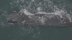 超大型無人潜水艦「エクスカリバー」を”地球の裏側”から遠隔操作することに成功の画像 4/4