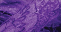 2300年前の女性ミイラに彫られた「タトゥー」図柄の解明に成功の画像 1/5