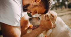 67人の命を土砂崩れから救ったのは「1匹の犬」と「飼い主の対応」だったの画像 1/1
